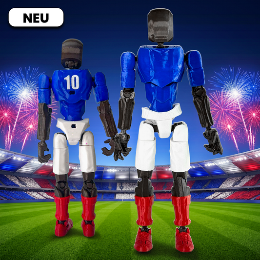 Fußballer Frankreich